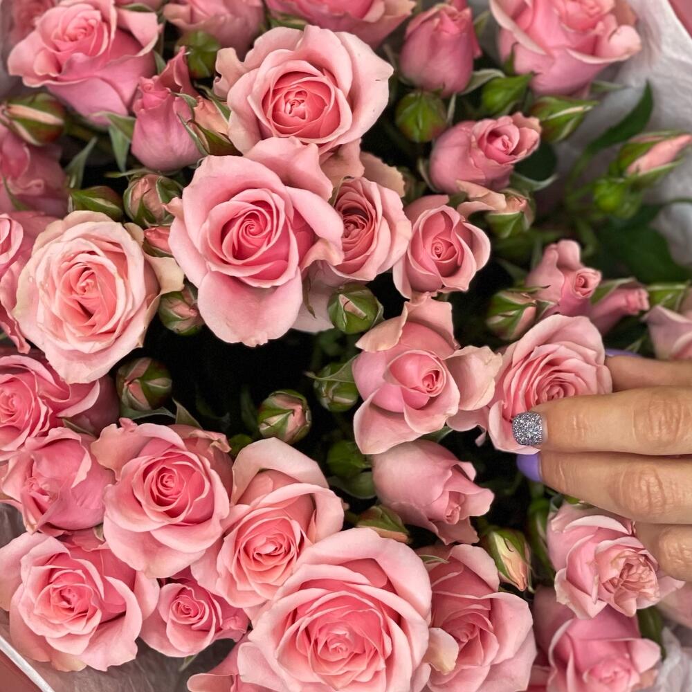 Букет из 9 розовых кустовых роз – нежность в каждом лепестке Кировск Ленинградская область