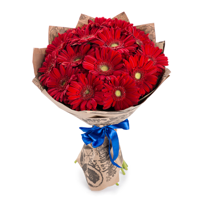 Яркий букет из 15 красных гербер – воплощение страсти и жизнерадостности Кировск Ленинградская область